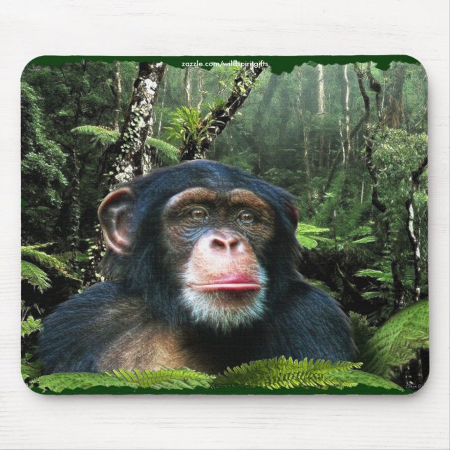 Chimpanzee RainForest Conservation Mousepad (Frente)