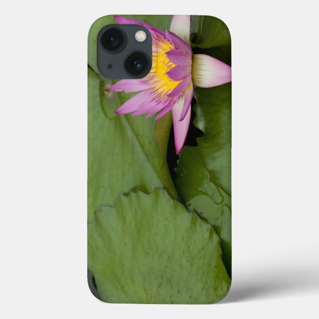 China, Hong Kong, Novos Territórios. Chi Lin (Verso)