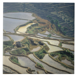 China, província de Yunnan. Terraços de arroz inun