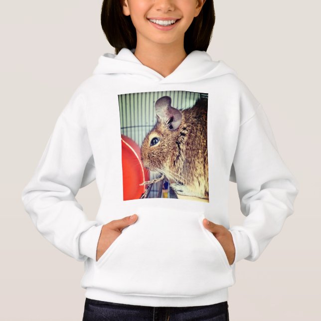 Chinchilla (Frente)