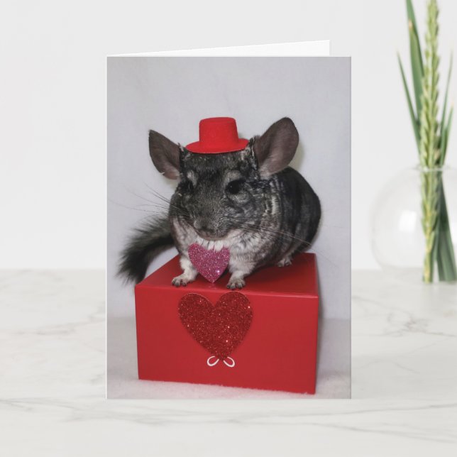 Chinchilla com chapéu vermelho e cartão de coração (Frente)