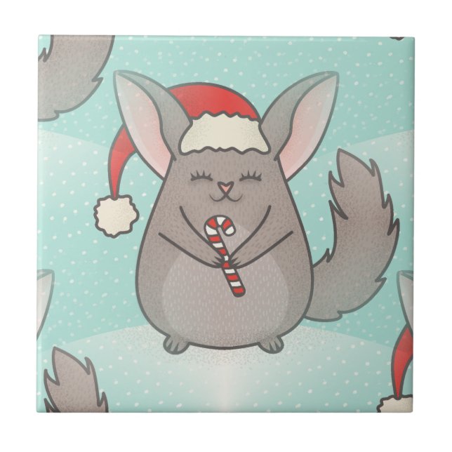 chinchillas de natal (Frente)