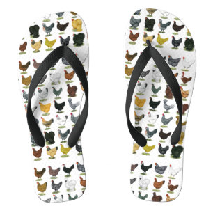 Chinelos 49 Galinhas