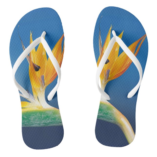 Chinelos Adultos, Tiras Finas (Pé da cama)