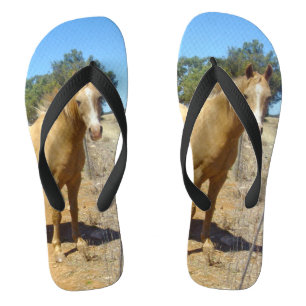 Chinelos Beleza do Cavalo de Palomino,