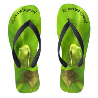 Bom para ser Sapo Verde