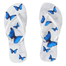 Borboletas Azuis Morpho Marmoreadas