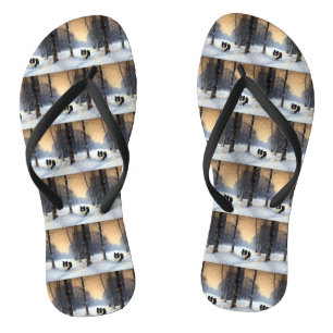 Chinelos Border Collie Deixa Nevar Natal