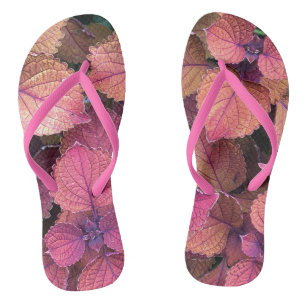 Chinelos Borgonha, Rosa, Folhas de Creme