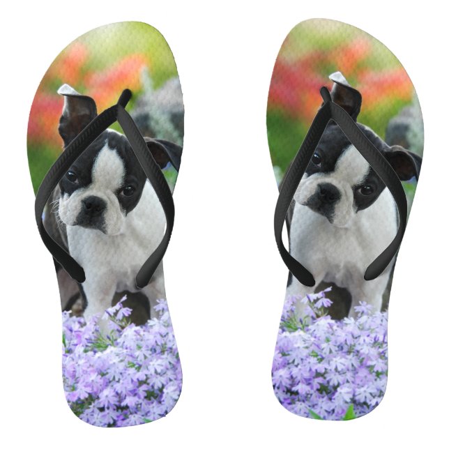 Chinelos Boston Terrier Dog Cute Puppy Portraje Foto Pet - (Pé da cama)