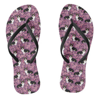 Chinelos Brilhos de cereja com três cores - roxo