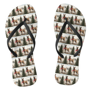 Chinelos Cachorro Malinois belga no Natal da neve