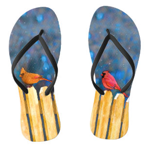 Chinelos Cardeais na pintura de cerca - Arte original