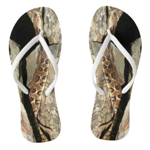 Chinelos Cascavel no Parque Nacional de Shenandoah