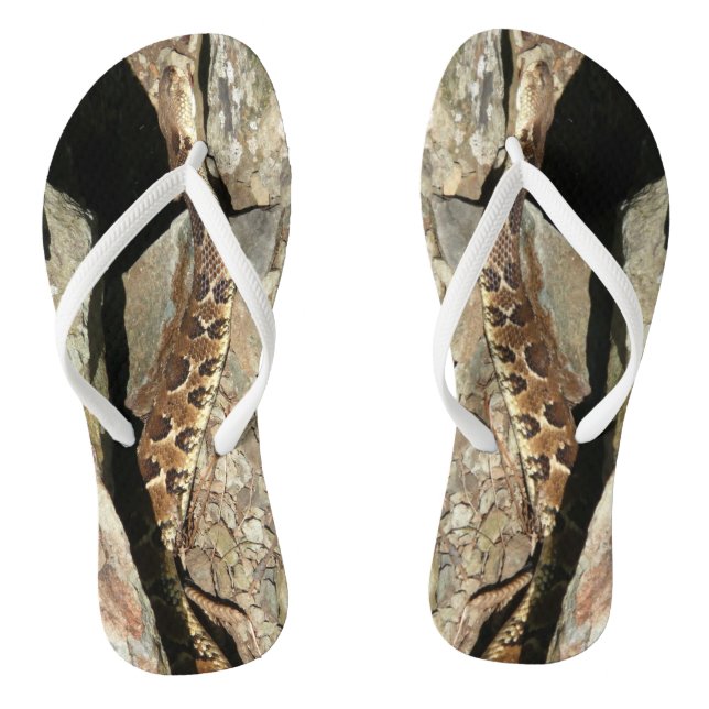 Chinelos Cascavel no Parque Nacional de Shenandoah (Pé da cama)