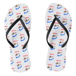 Chinelos Cavalos Calgary Canada Cavaleiros julho Cavaleiros