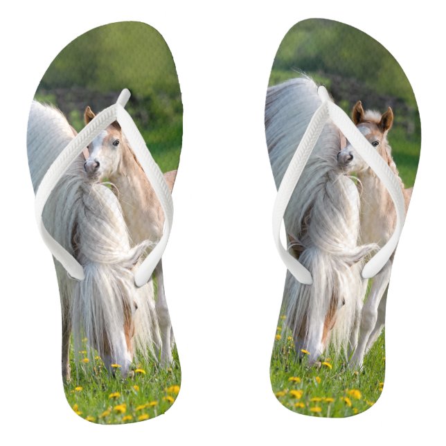 Chinelos Cavalos de Haflinger Um Prato De Bebê Cugado Com M (Pé da cama)