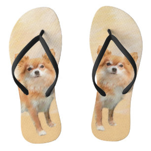 Chinelos Chihuahua Pintura De Cachorro De Cabelo Longo