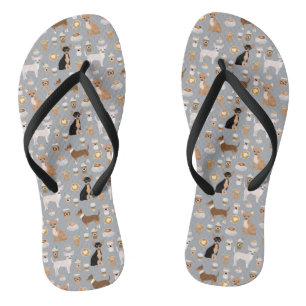 Chinelos Chihuahuas e calçados do café