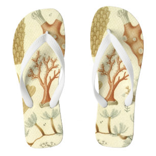 Chinelos Ciência — Biologia Do Livro De Têxteis — Animais D