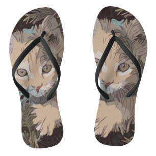 Chinelos Coleção de Gatos Cons 3