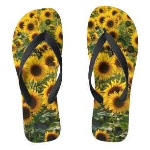 Chinelos da Seranade Sunflower