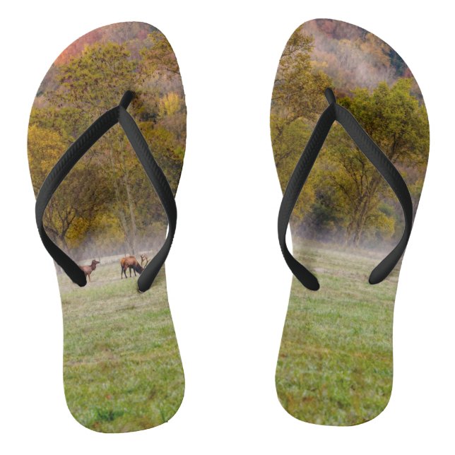 Chinelos de Casal de Elk Grazing (Pé da cama)