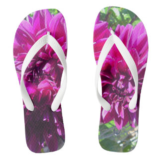 Chinelos de Flor Dahlia Roxo
