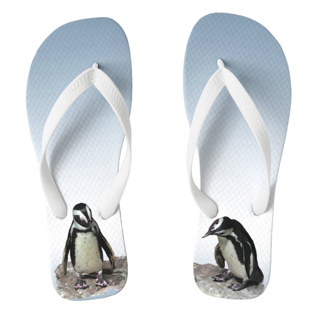 Chinelos de Pássaros Pinguins (Pé da cama)