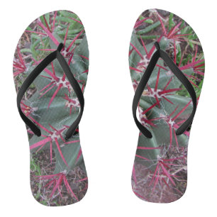 Chinelos Desert Barrel Cactus Red Thorns Close-up Photo