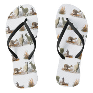 Chinelos do Llama Meadow (escolha a cor)