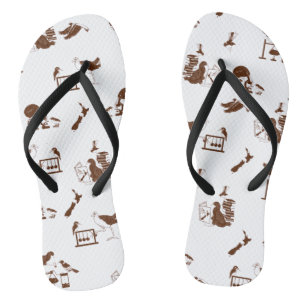 Chinelos Estudantes de Ciências de Aves da Nova Zelândia