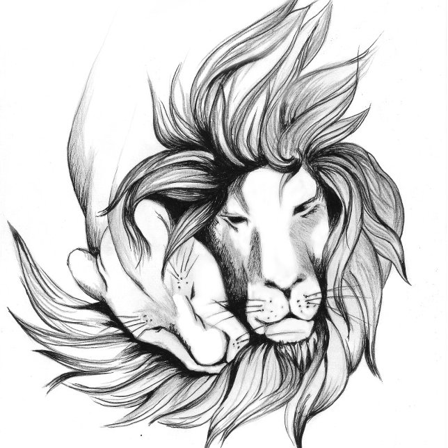 Chinelos Fantasy abstractive butterfly   Flip Flops (Criador carregado)