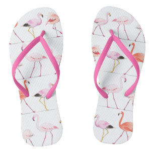 Chinelos Flamingo Flip-flops