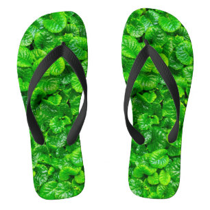 Chinelos Folhas Verdejantes