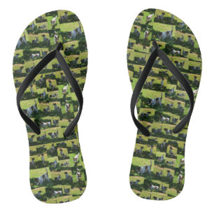 Chinelos Fox Terrier, A Colagem Fotográfica De Duro Longo D