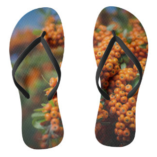 Chinelos Frutas laranja