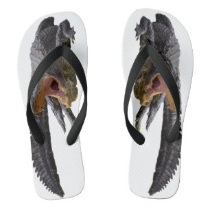 Chinelos Gator