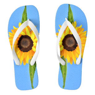Chinelos Girassol Amarelo contra Sol no Céu Azul - Verão