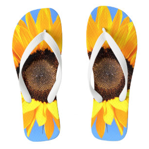 Chinelos Girassol Amarelo contra Sol no Céu Azul - Verão