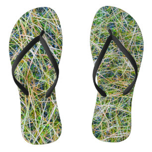 Chinelos Grama Ornamental Fina