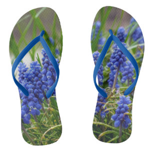 Chinelos Hyacinth Grape