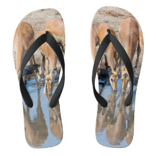 Chinelos Impalas at the waterhole