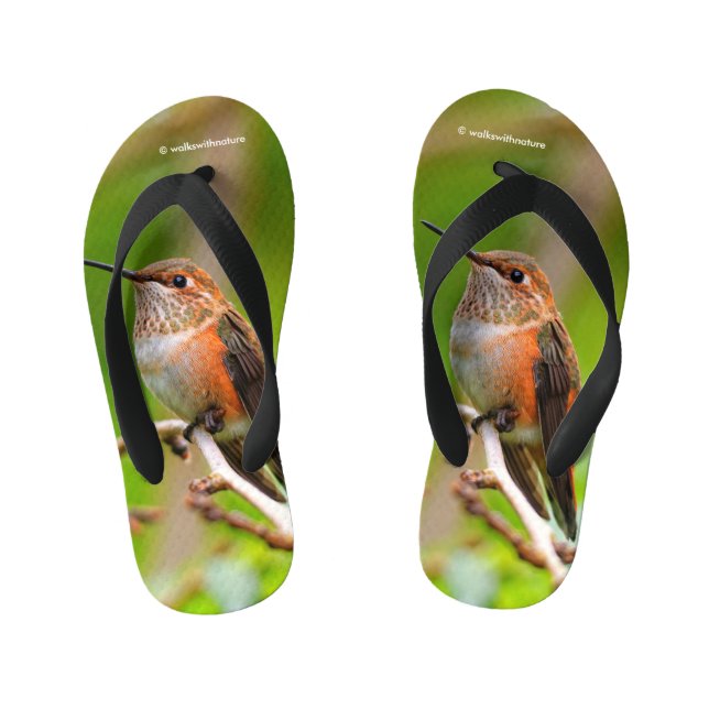 Chinelos Infantis Beija-flor Ruivo Fofo no Galho da Árvore de Ameixa (Pé da cama)