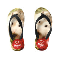 HammyVille - Hamster Bonito