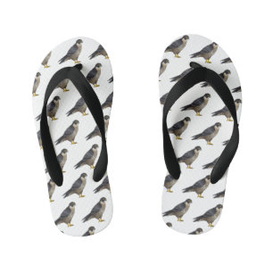 Chinelos Infantis Ilustração de desenho animado de pássaros falcões