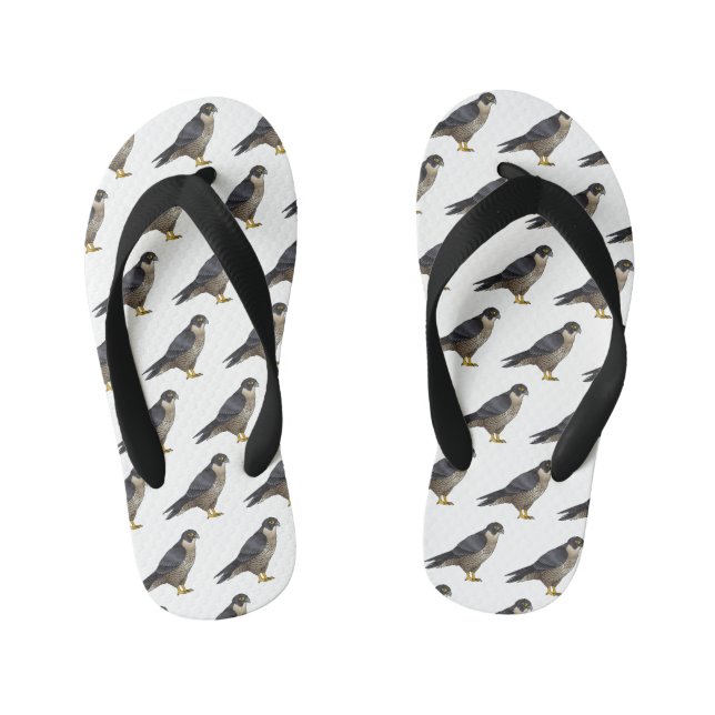 Chinelos Infantis Ilustração de desenho animado de pássaros falcões  (Pé da cama)