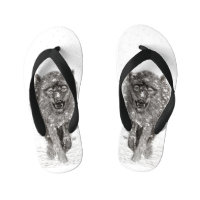 Lobo Negro Zangado na Neve, inverno selvagem