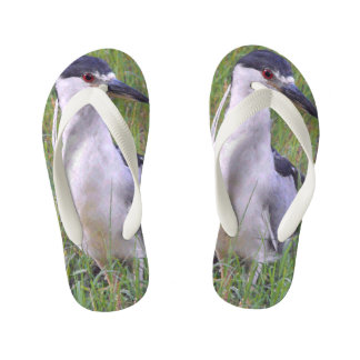 Chinelos Infantis Night Heron na Grama Verde