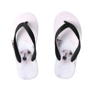 Chinelos Infantis Pintura em Pó Chinês - Arte Canina